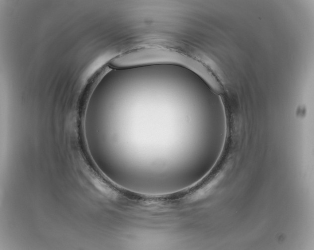 X0000092261114200709141203