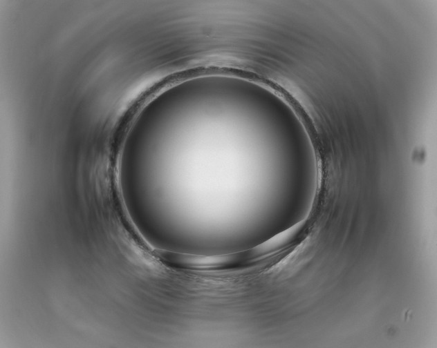 X0000092261115200709141203