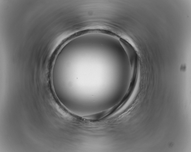 X0000092261116200709141203