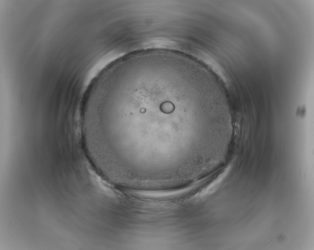 X0000092261117200709141203