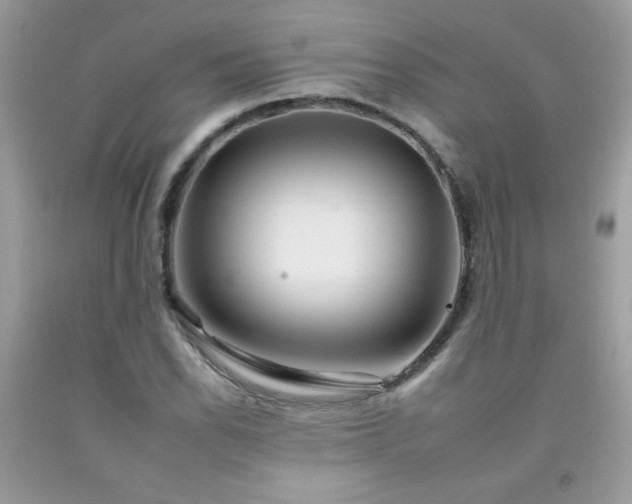 X0000092261118200709141203