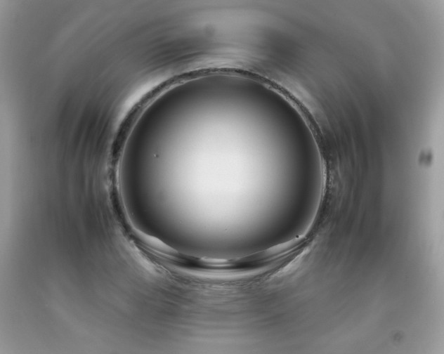X0000092261119200709141203