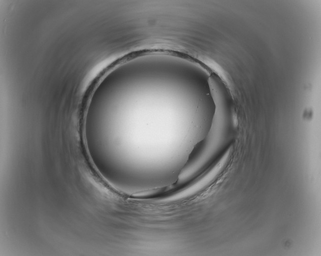 X0000092261120200709141203