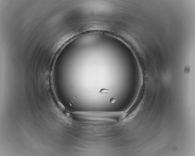 X0000092261121200709141204