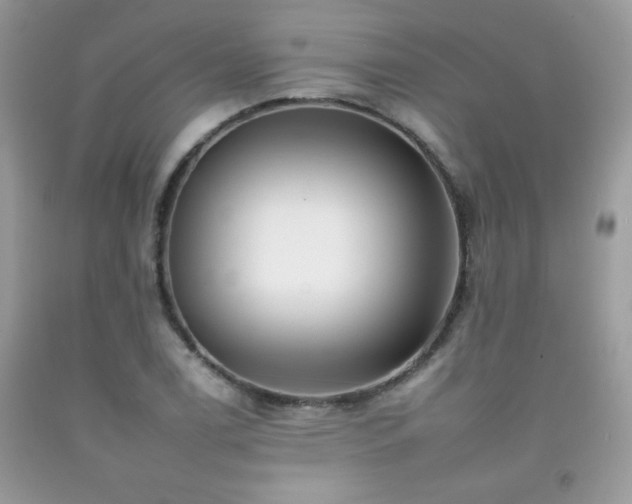 X0000092261122200709141204