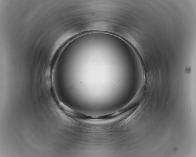 X0000092261123200709141204