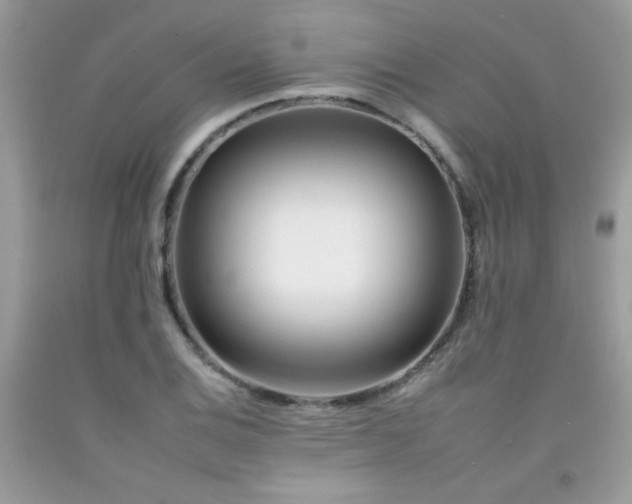 X0000092261124200709141204