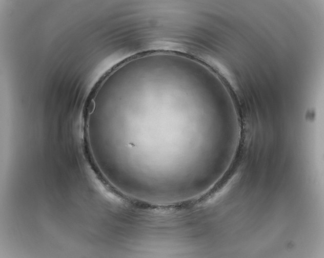 X0000092261125200709141204