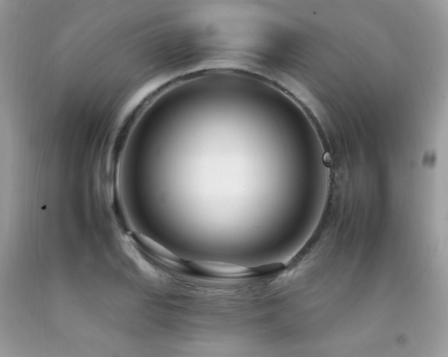 X0000092261127200709141204