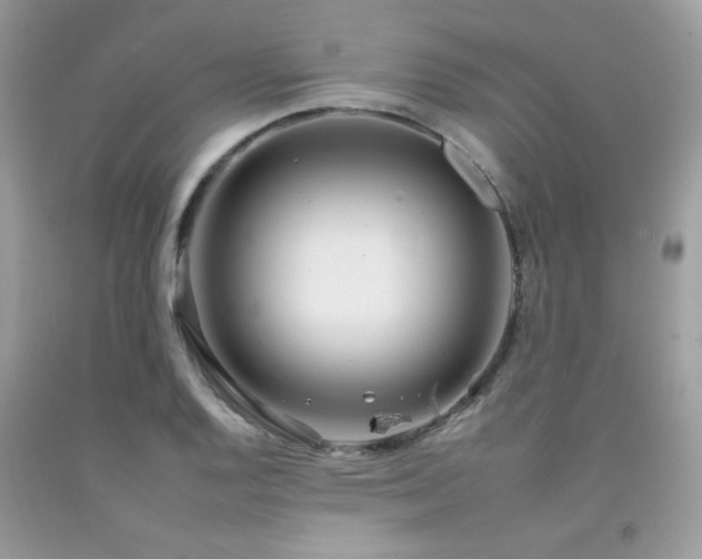 X0000092261128200709141204