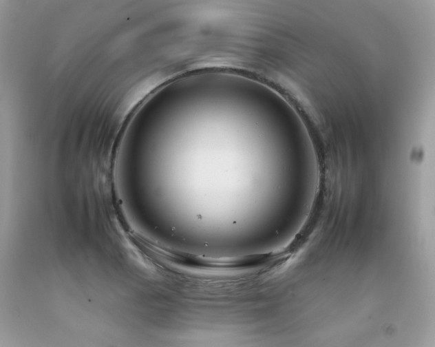 X0000092261129200709141204