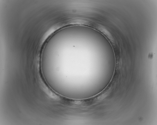 X0000092261130200709141204
