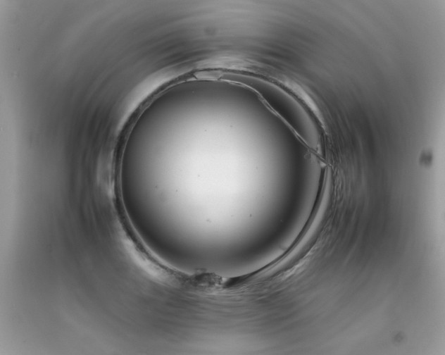 X0000092261131200709141204
