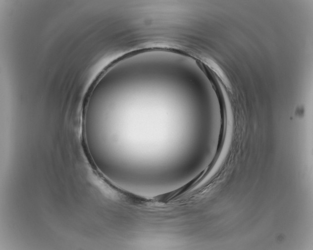 X0000092261132200709141204