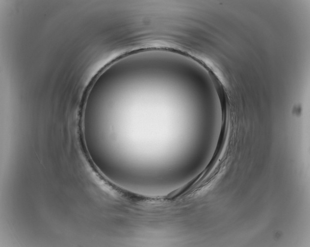 X0000092261134200709141204