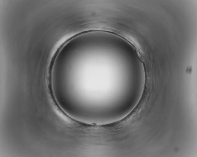 X0000092261136200709141204