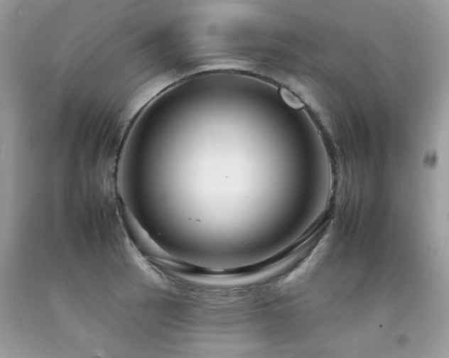 X0000092261137200709141204