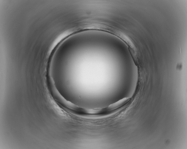 X0000092261138200709141204