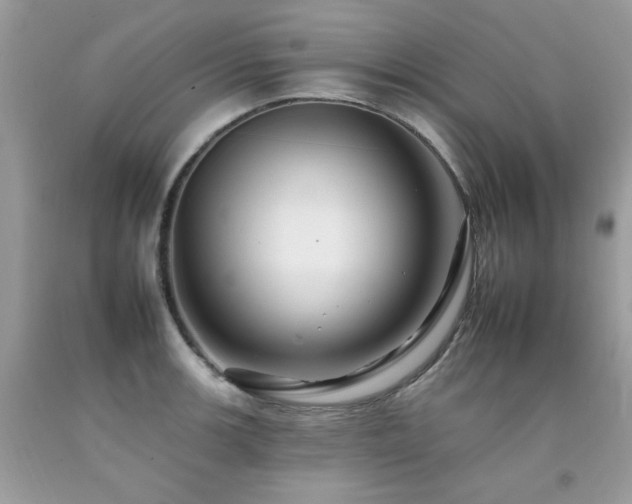 X0000092261139200709141204