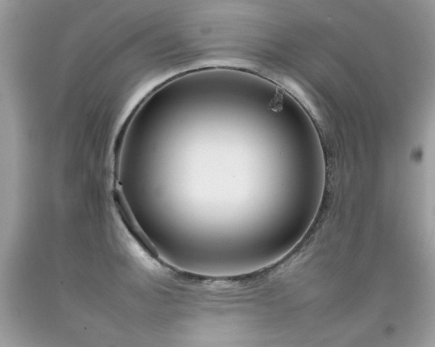 X0000092261140200709141204
