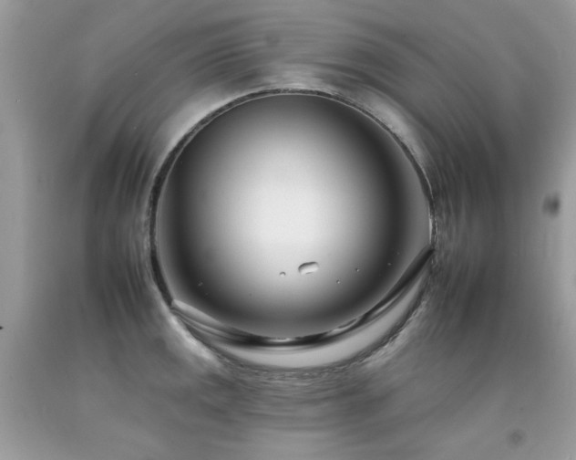 X0000092261141200709141204