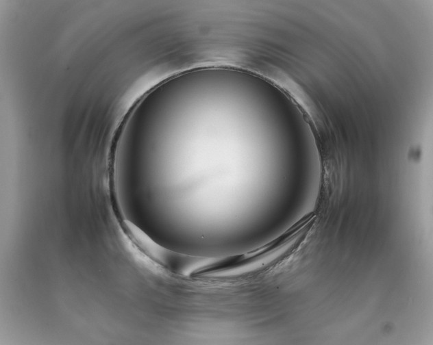 X0000092261143200709141204