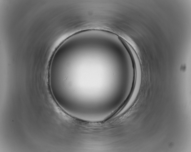 X0000092261144200709141204