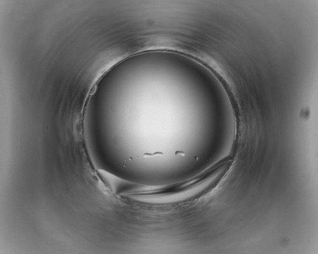 X0000092261145200709141204