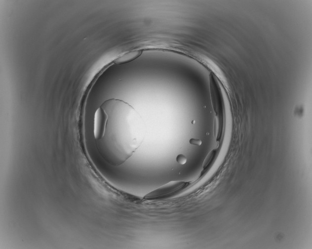 X0000092261146200709141204