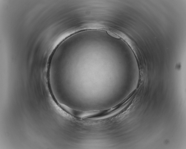 X0000092261147200709141204