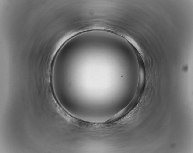 X0000092261148200709141204