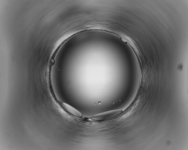 X0000092261149200709141204