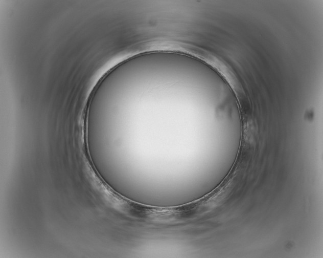 X0000092261150200709141204