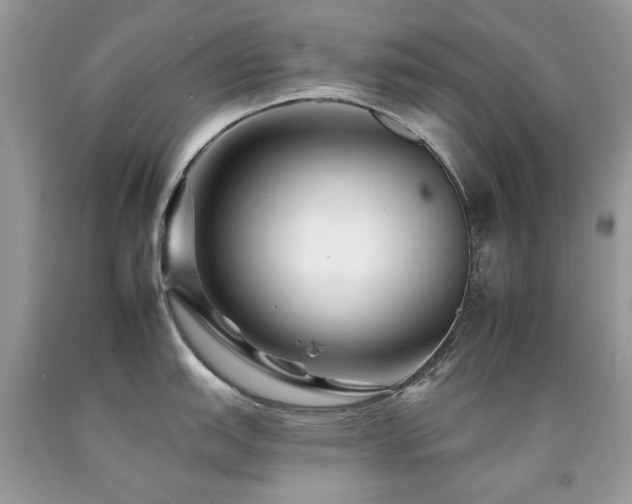 X0000092261151200709141204