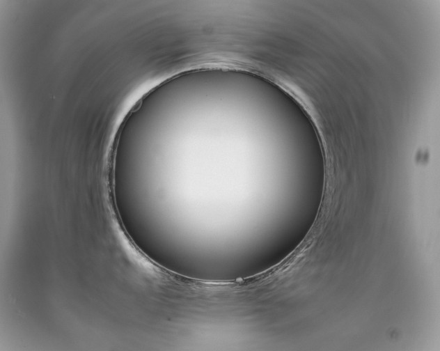 X0000092261152200709141204