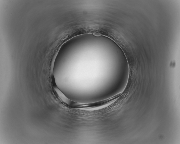 X0000092261153200709141203