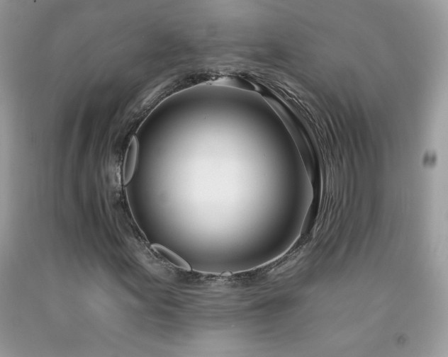 X0000092261155200709141203
