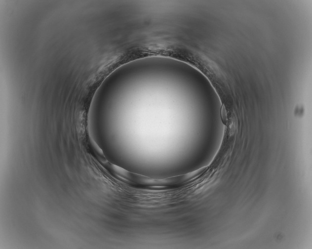 X0000092261156200709141203