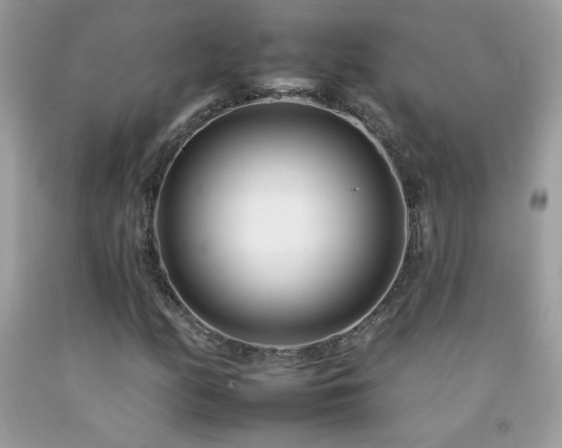 X0000092261158200709141203