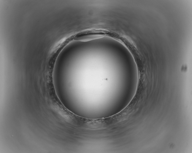 X0000092261159200709141203