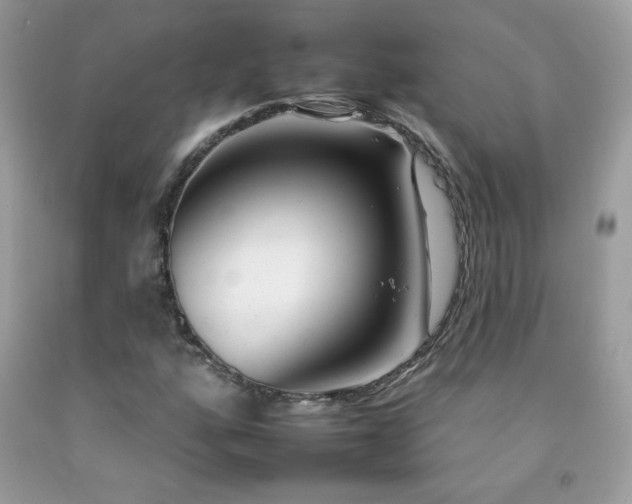 X0000092261160200709141203