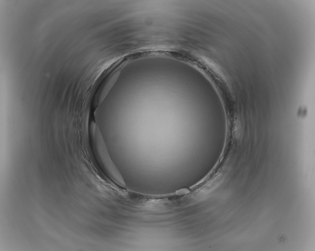 X0000092261161200709141203
