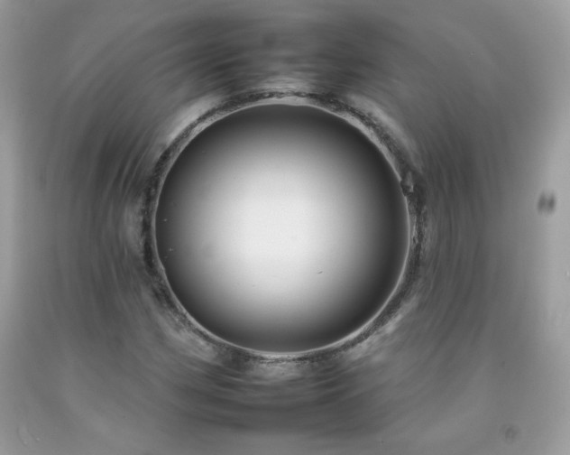 X0000092261162200709141203