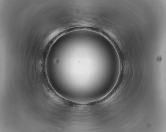 X0000092261163200709141203