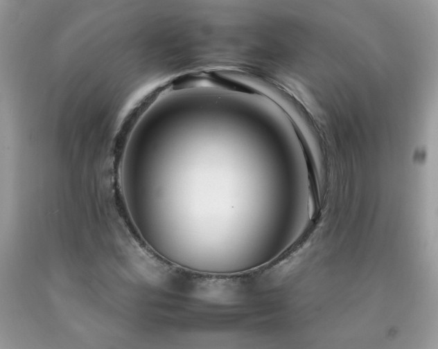 X0000092261164200709141203