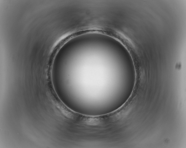 X0000092261166200709141203