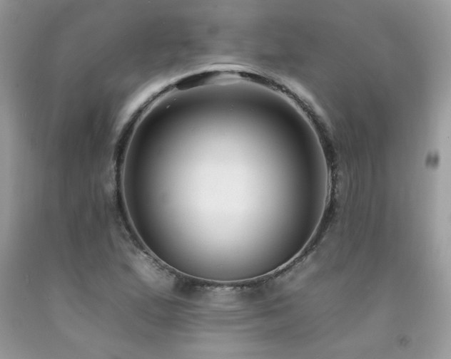 X0000092261167200709141203