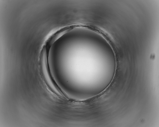 X0000092261168200709141203