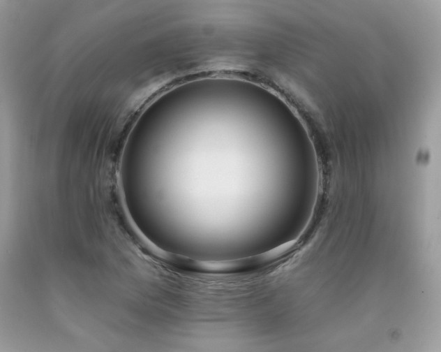 X0000092261169200709141203