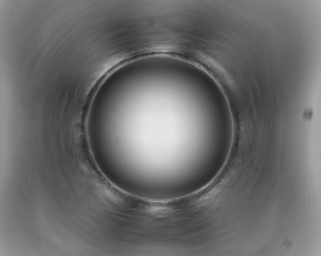 X0000092261170200709141203